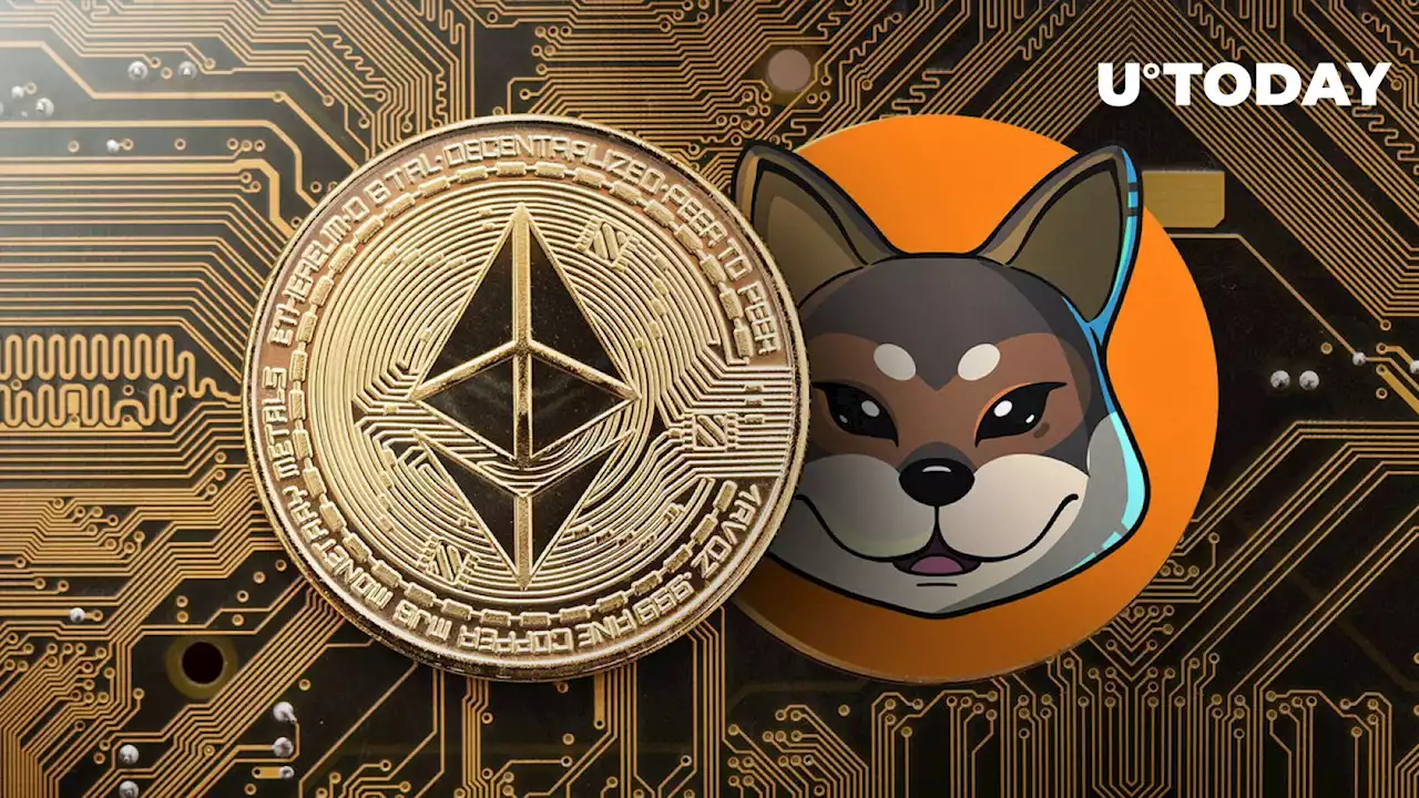 Traders Made 186 ETH on Massive Shiba Inu-Inspired SHIKOKU 96% Drop Fueled by Vitalik Buterin