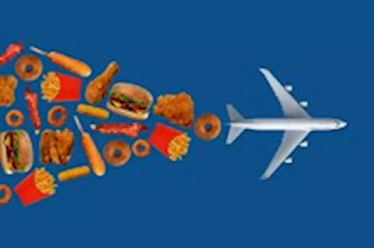 Advice | Why airlines want to charge you for flying on french-fry oil