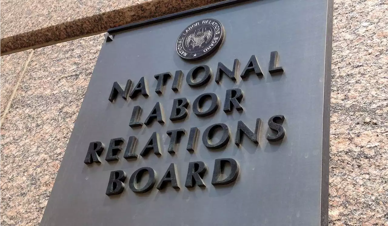 Labor leaders demand federal help to unionize more businesses: ‘The game is rigged’