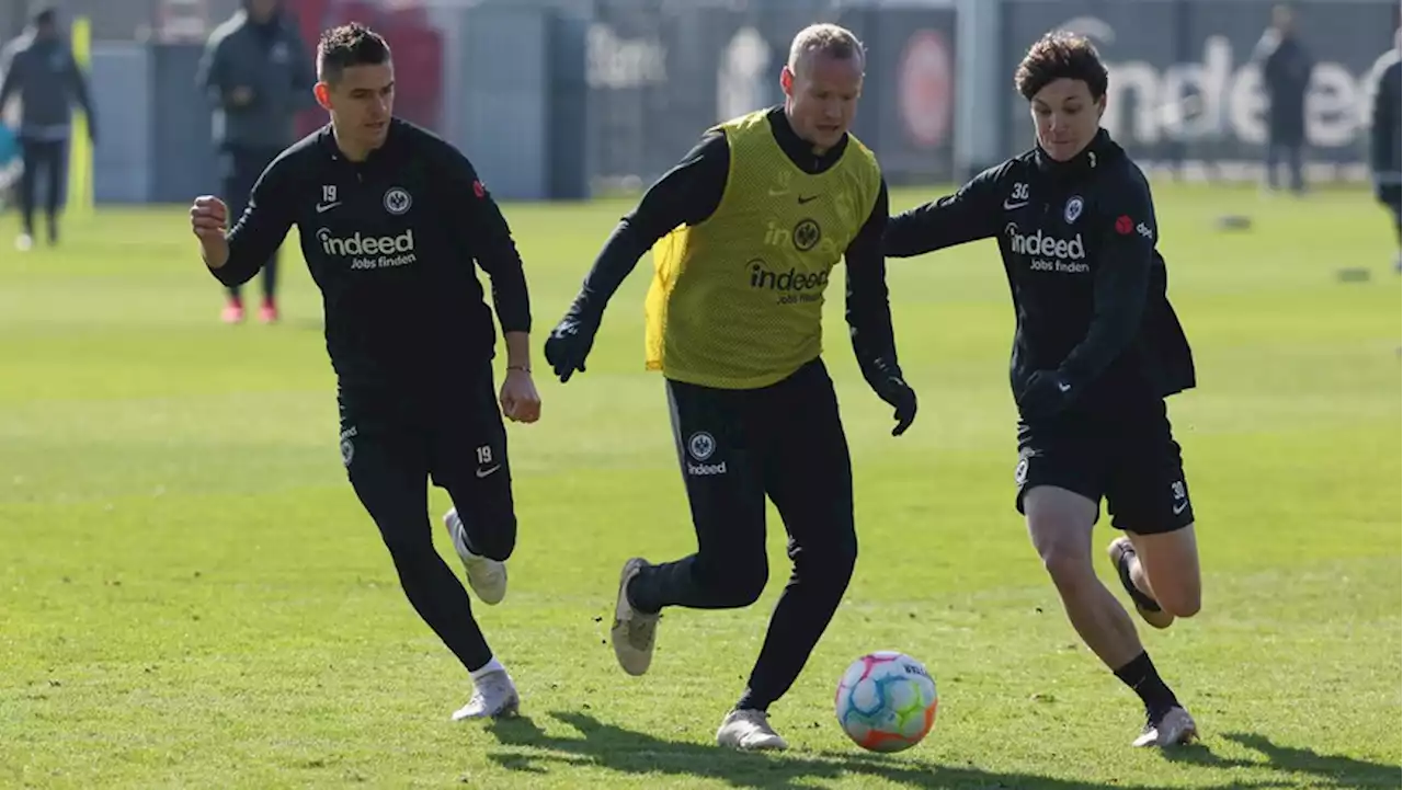 Grüne Bewegung im Profifußball: Eintracht Frankfurt entwickelt Zukunftsstrategie