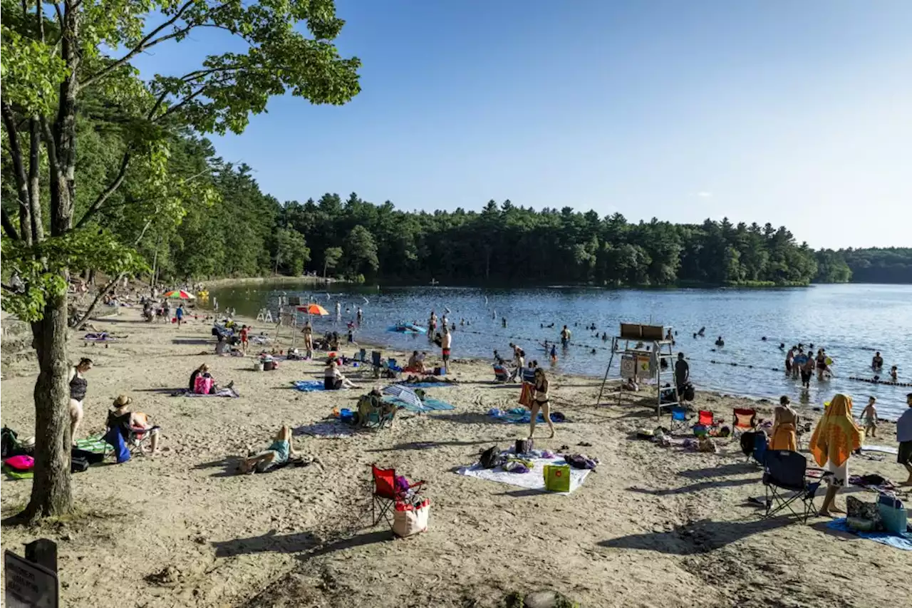 In 13 state parks, Mass. officials issue advisories for fish consumption due to PFAS