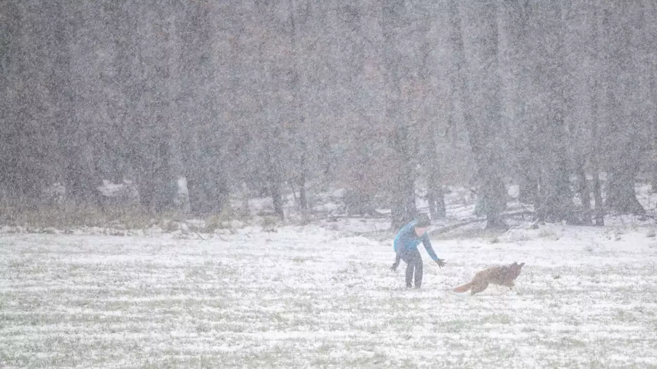 Schnee und glatte Straßen: Der Winter bleibt vorerst in NRW