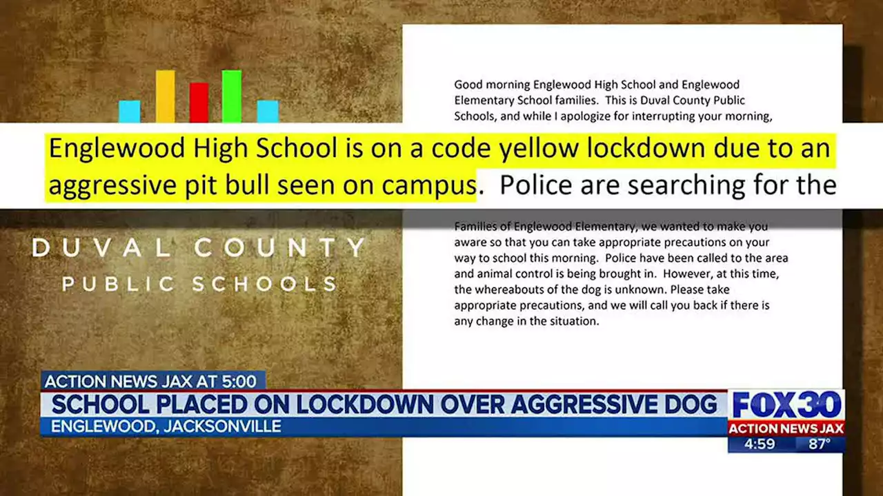 Englewood High School on lockdown due to ‘aggressive pit bull,’ Duval schools say