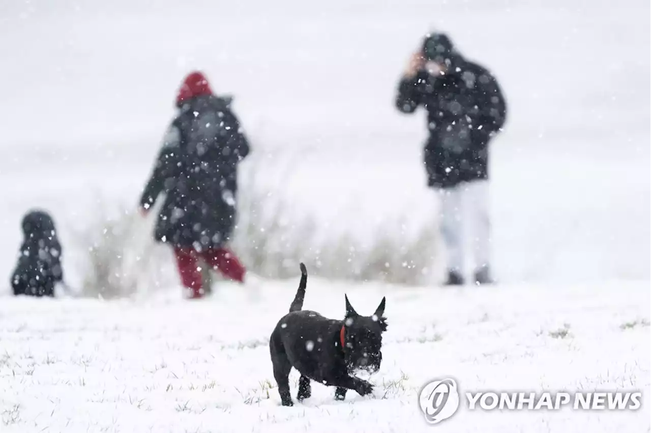 영국 눈과 강추위 경보…교통 차질·석탄발전 가동 | 연합뉴스