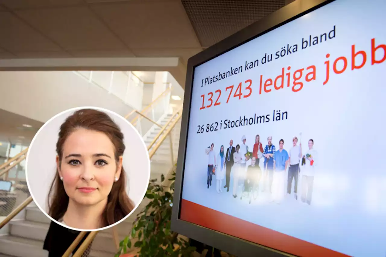 Teodorescu: Varför ska arbetsföra leva på bidrag? Ge oss Arbetslinjen 2.0