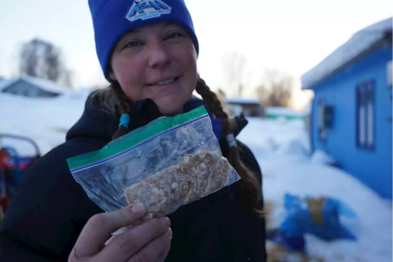 Favorite trail snack? 5 Iditarod mushers weigh in