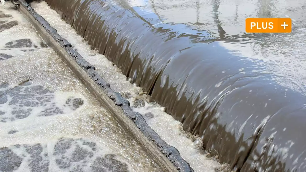 Was uns das Abwasser über das Coronavirus verrät