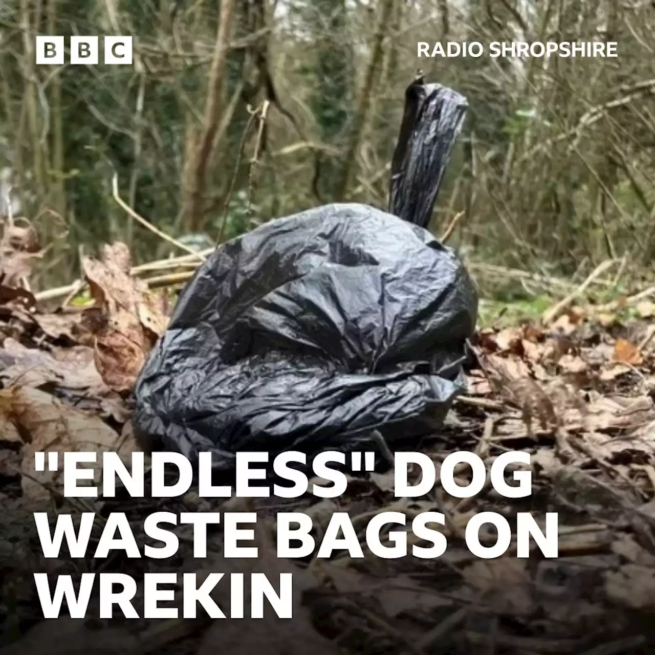 Wrekin walkers exasperated with dog poo bag litter