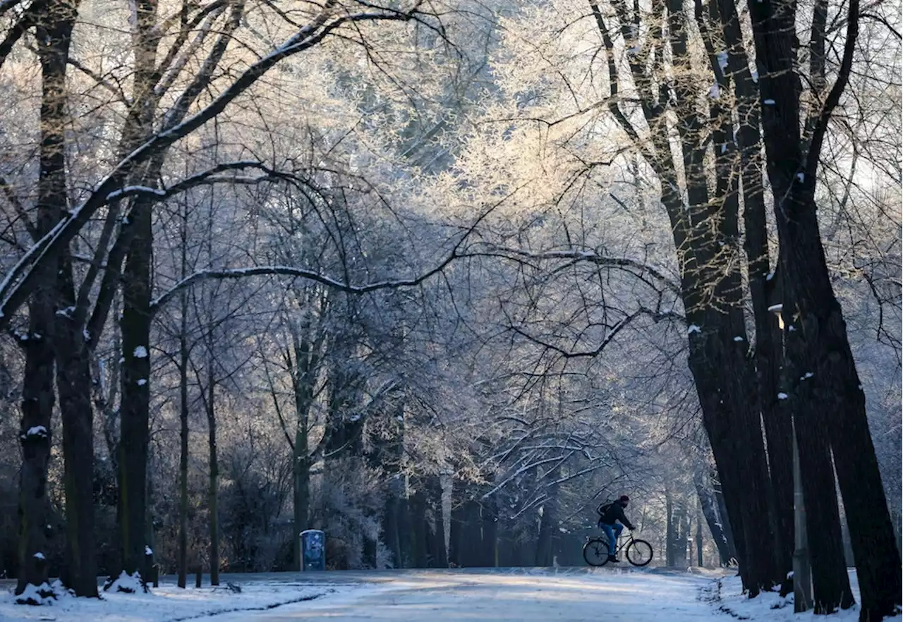 Winterwetter in Berlin: Donnerstag beginnt mit Schnee und Glätte