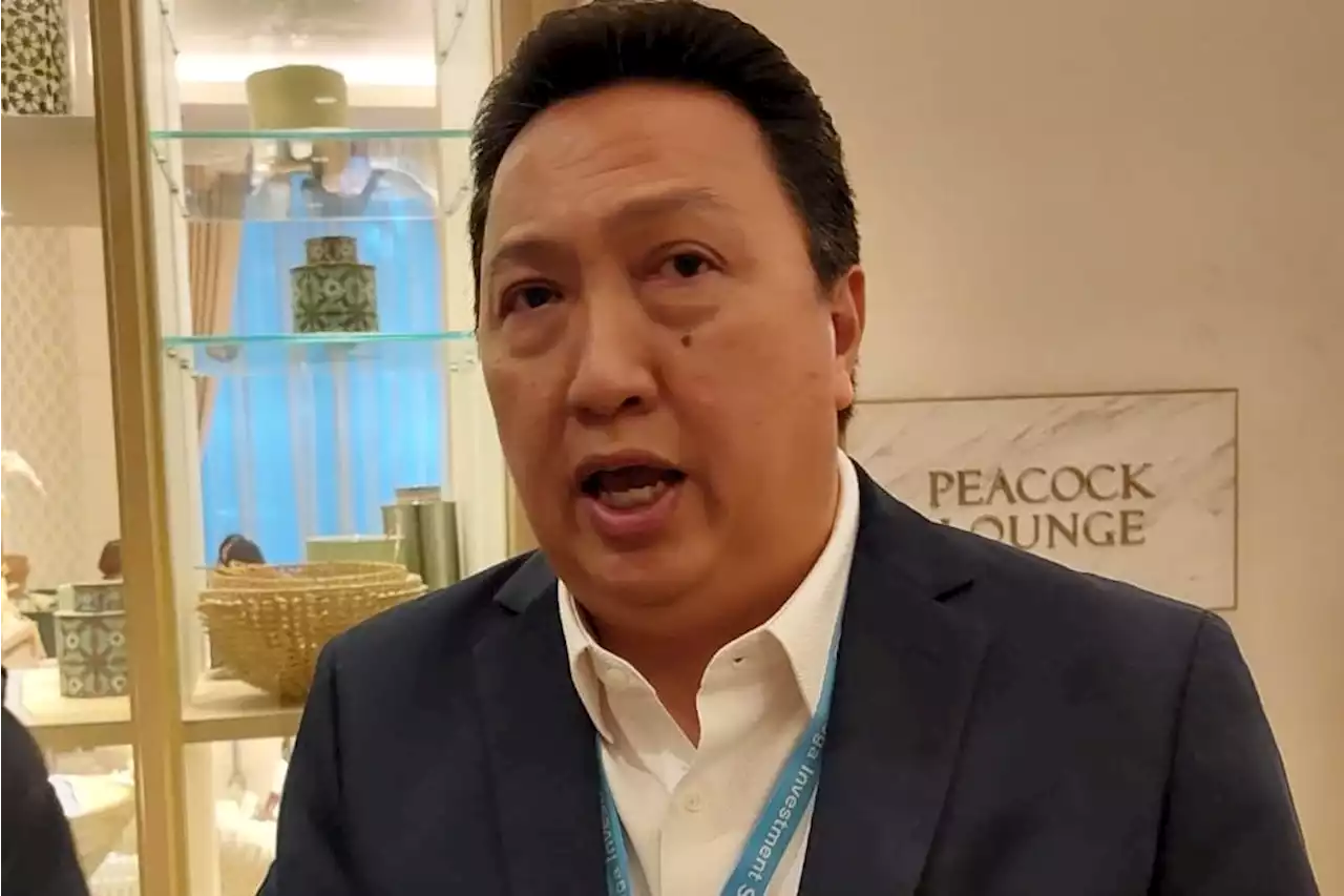 Emiten Boy Thohir ADRO, ADMR, hingga ESSA Panen Cuan Sepanjang 2022, Simak Prospeknya di 2023