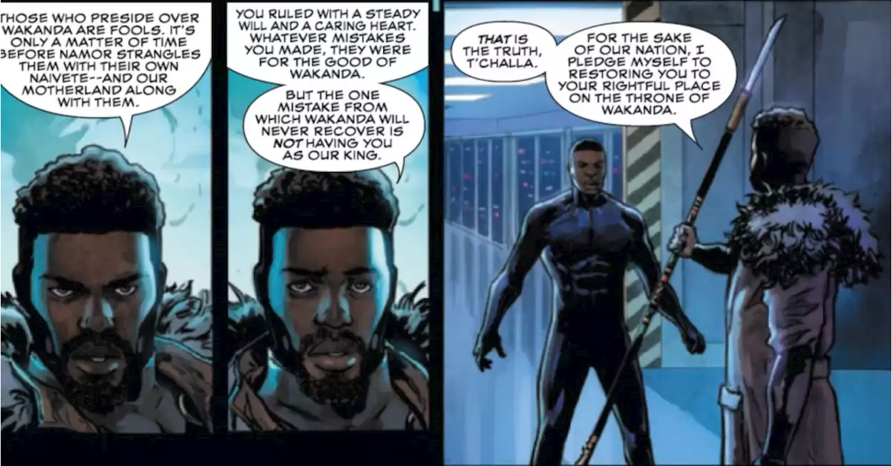 Black Panther In Permanent Exile From Wakanda (Spoilers)