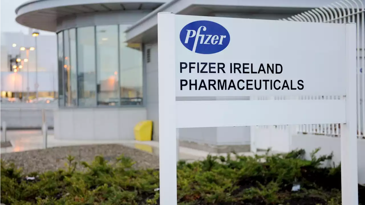 Hundreds of plumbers to strike at Intel and Pfizer sites despite employer’s bid for injunction