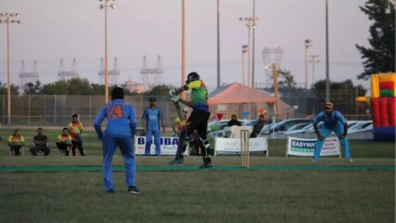 Cricket enthusiasts cheer on hope of world class stadium in Brampton | CBC News