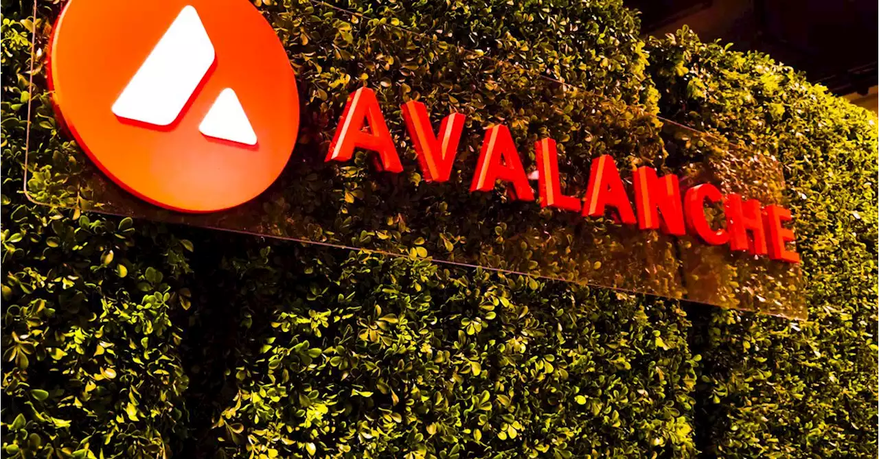 Securities Platform DEFYCA to Release Tokenized Private Debt Protocol on Avalanche