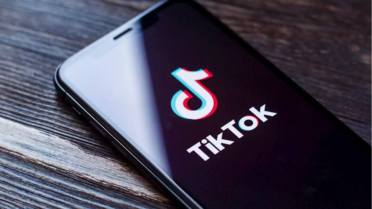 Ontario cities, police forces ban TikTok on devices while others consider the move