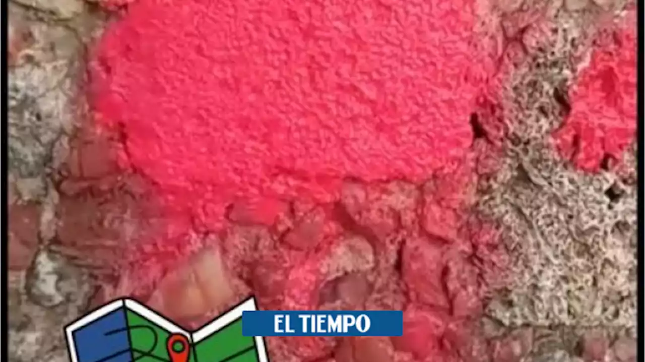 Video: Vándalo que pintó un fragmento de la muralla de Cartagena fue capturado