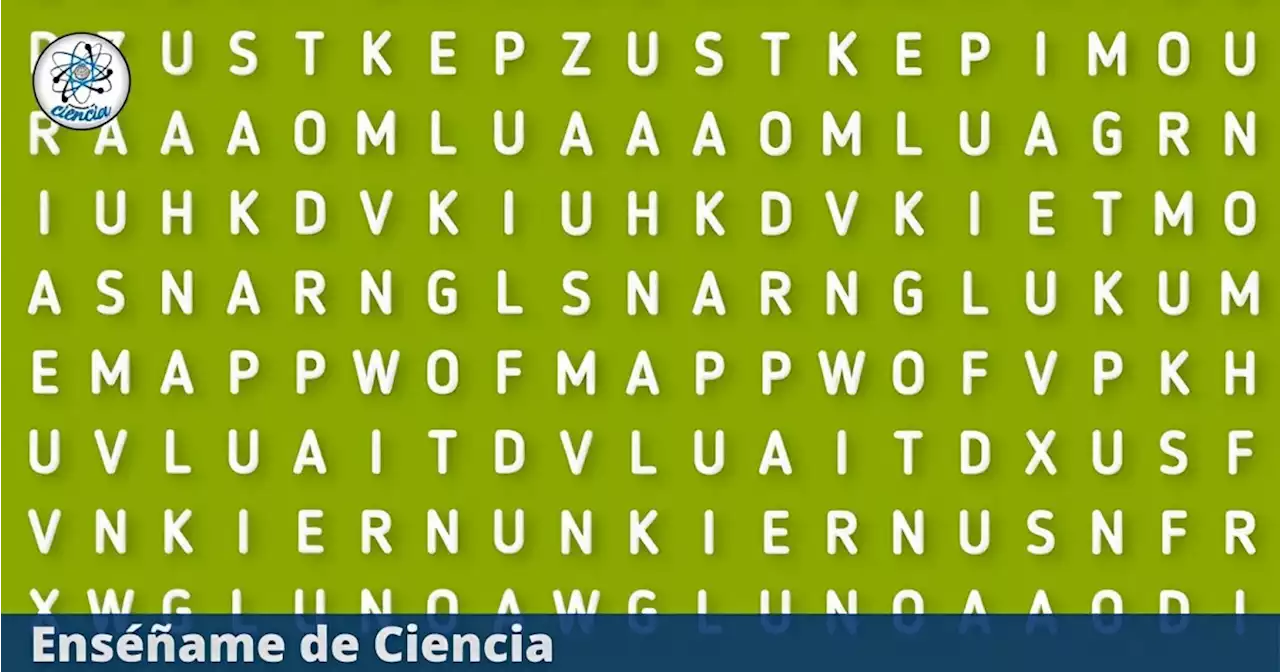 Acertijo visual del momento: ¿Ubicas la palabra “RIÑÓN” oculta en la sopa de letras?