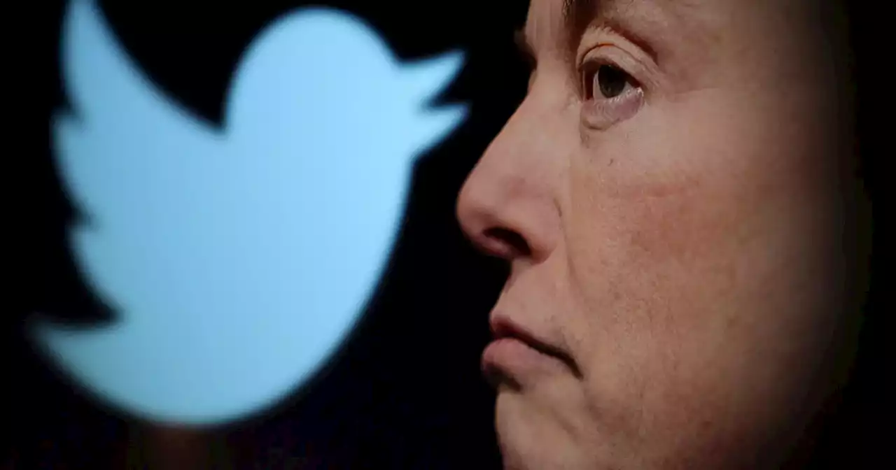 Bruxelas exige que Twitter contrate mais trabalhadores para gerir conteúdos