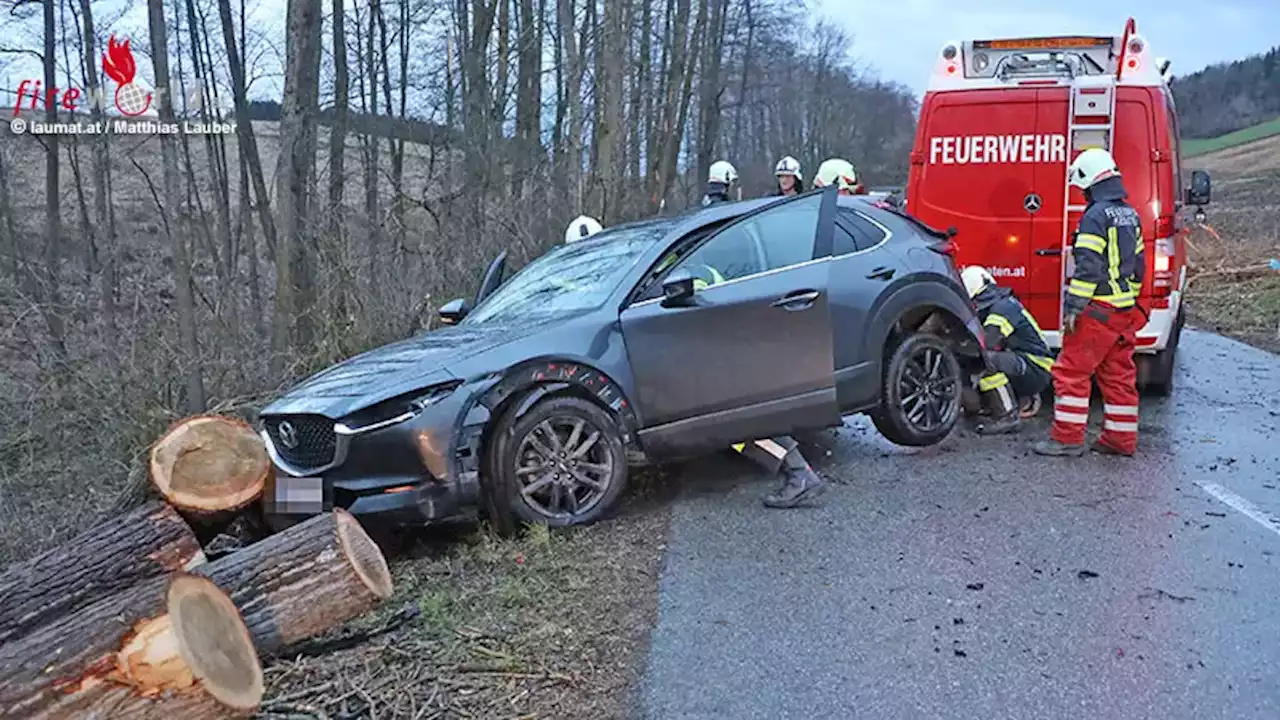 Oö: Sturmtief → umgestürzter Baum löst bei Keamten am Innbach Unfall mit drei beteiligten Pkw aus