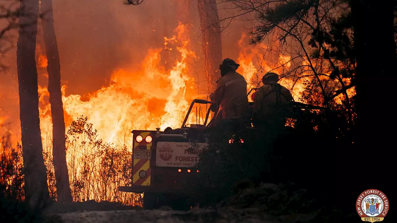 NJ forest fire ‘100%’ contained after scorching over 400 acres, threatening homes, officials say