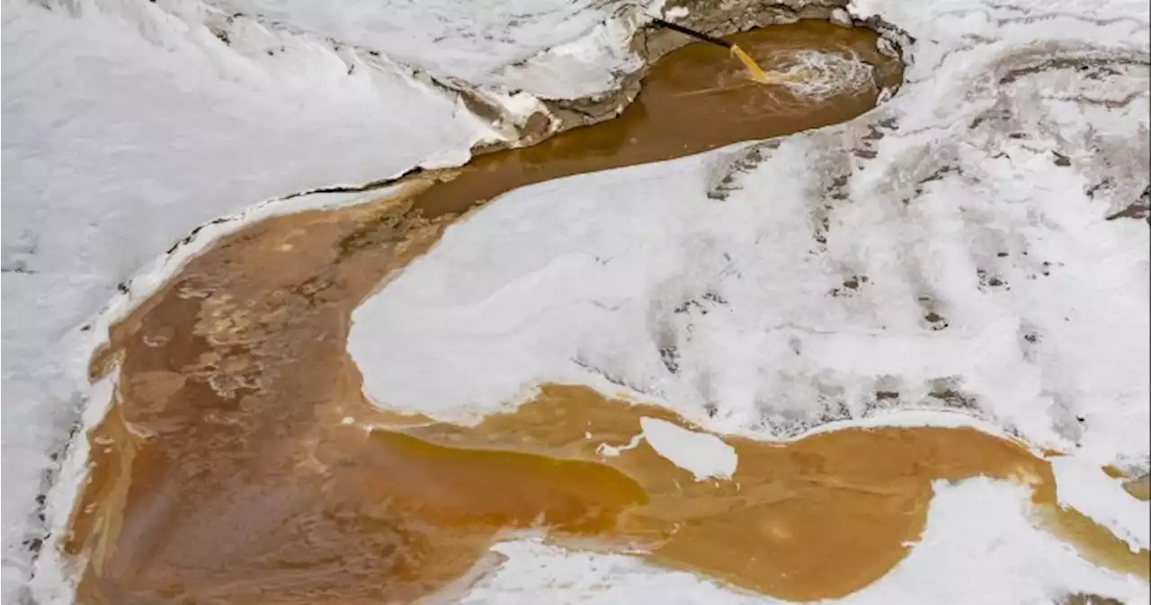 Alberta silence over oilsands spill ‘worrisome,’ says federal environment minister | Globalnews.ca