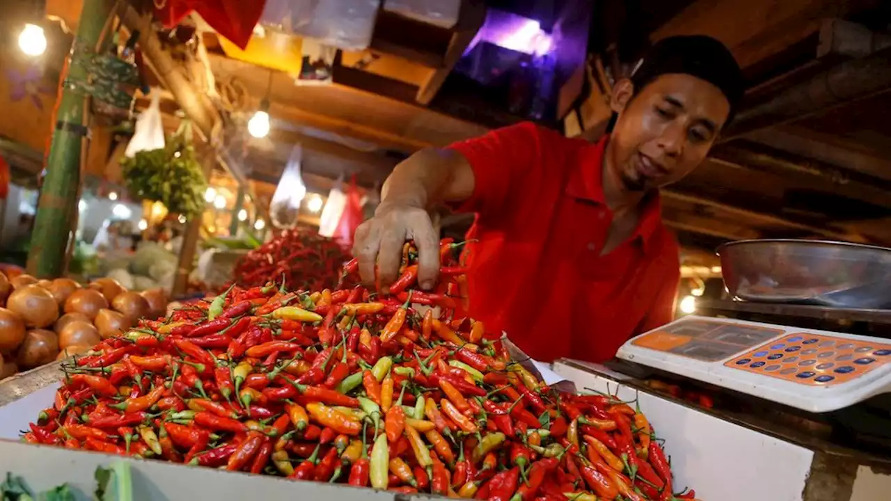 Cabai Rawit dan Bawang Putih Bisa Picu Inflasi Jelang Ramadhan-Lebaran