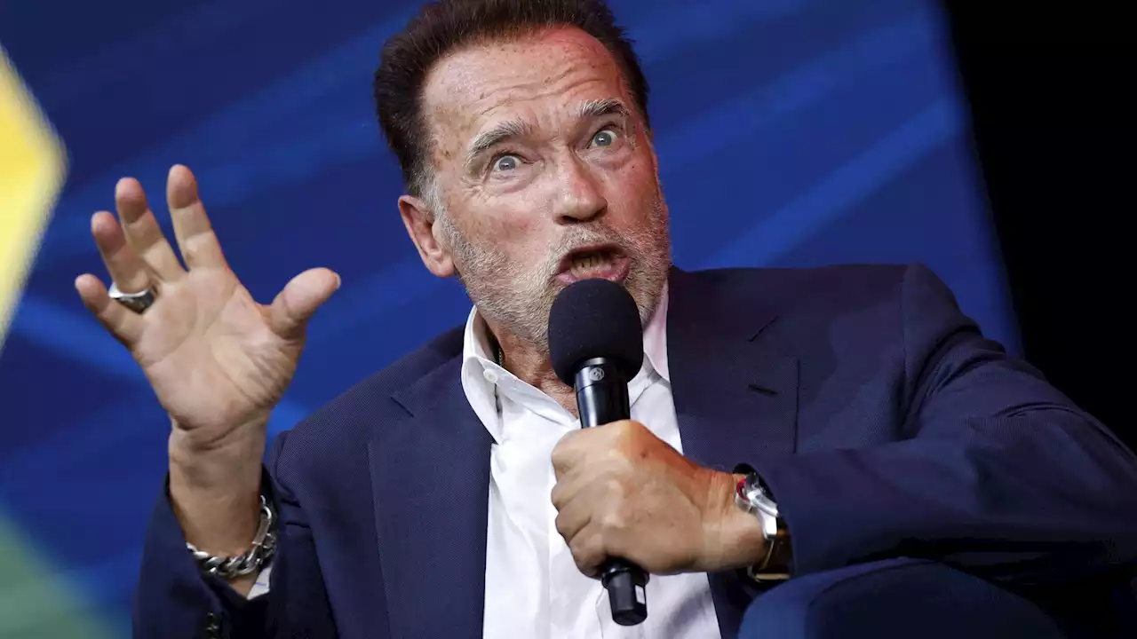 Am Sonntag im TV: Für diesen Film schämt sich Arnold Schwarzenegger heute