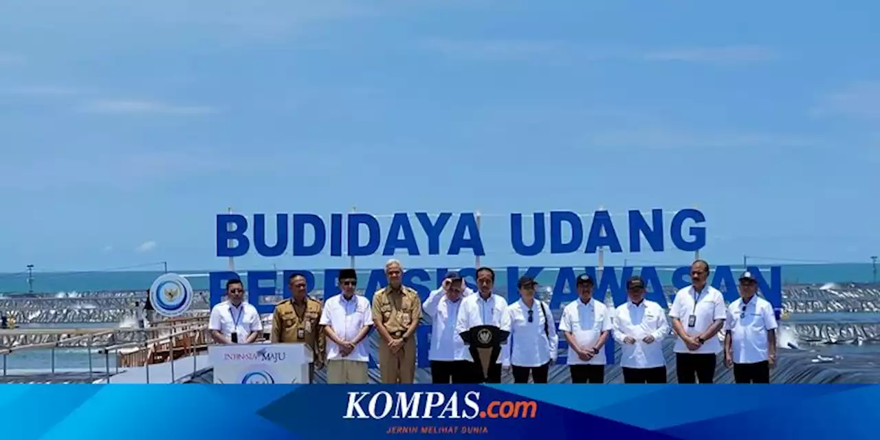 Jokowi Akan Bangun Tambak Budidaya Udang di Waingapu Seluas 1.800 hektar