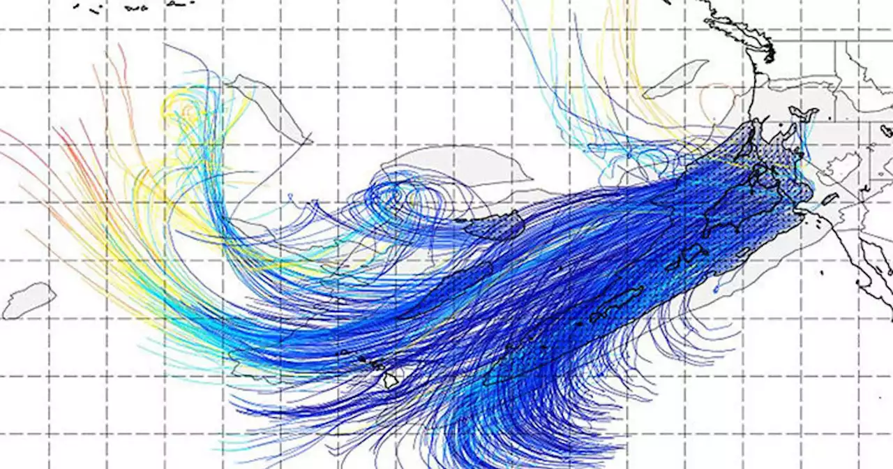 Atmospheric River: Bay Area residents brace for strong winds, floods, topping trees, power outages