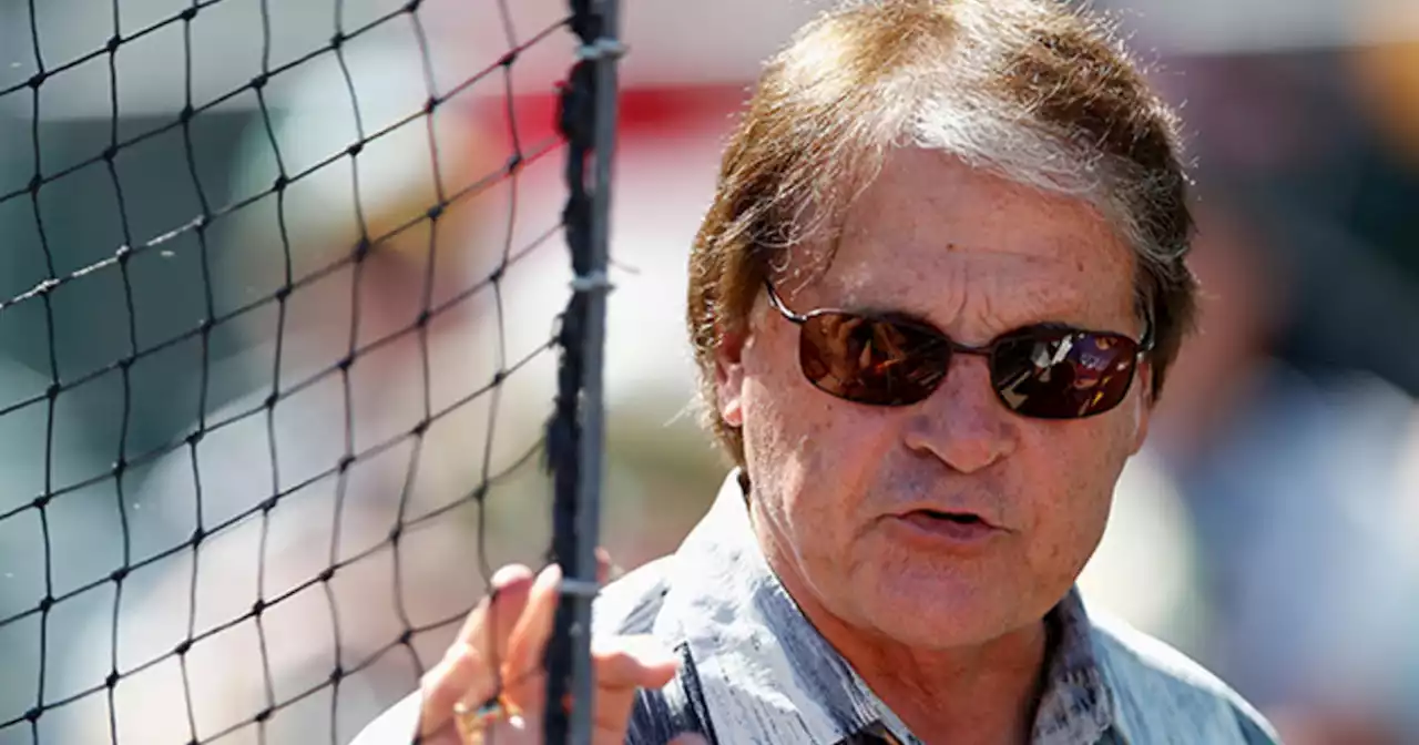 La Russa family severs ties with animal rescue nonprofit ARF