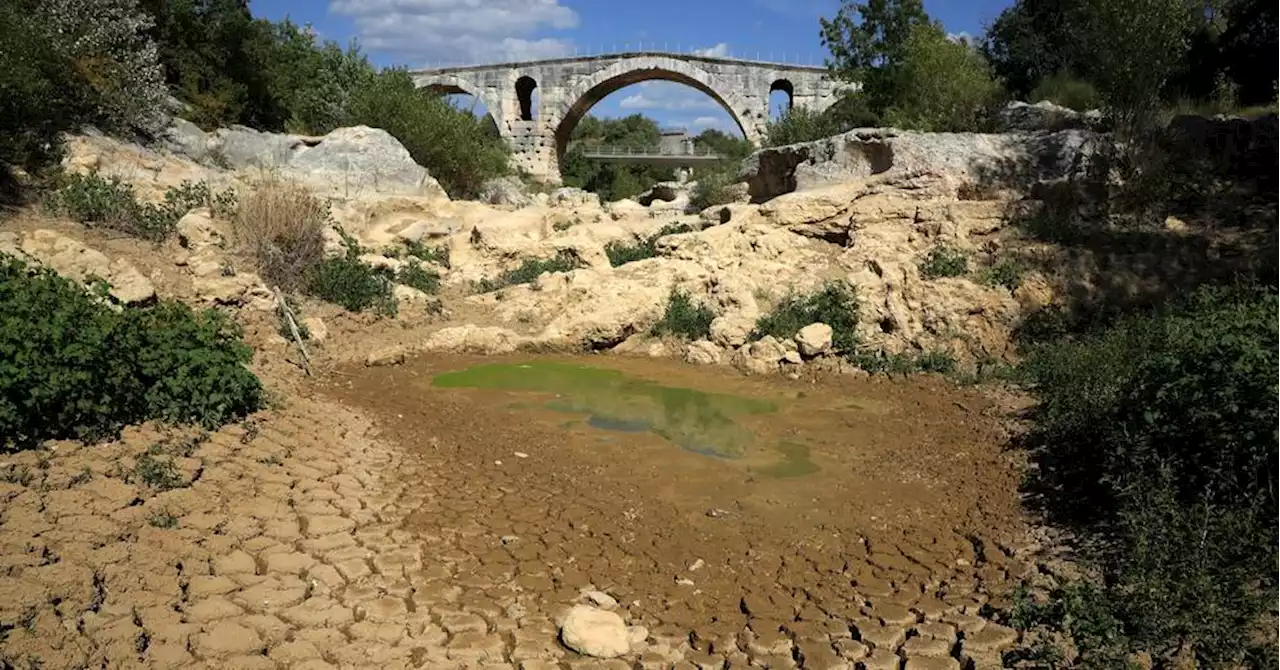 Sécheresse : la Provence confrontée au manque d'eau