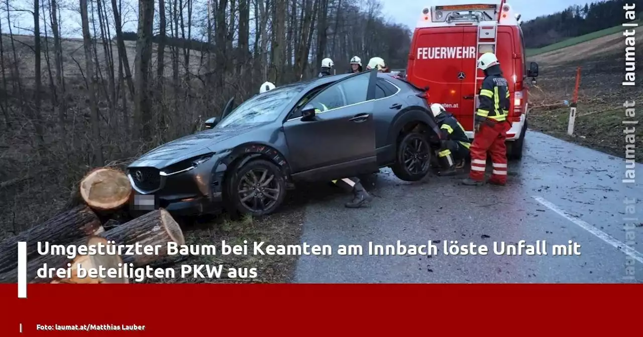 Umgestürzter Baum bei Keamten am Innbach löste Unfall mit drei beteiligten PKW aus | laumat|at