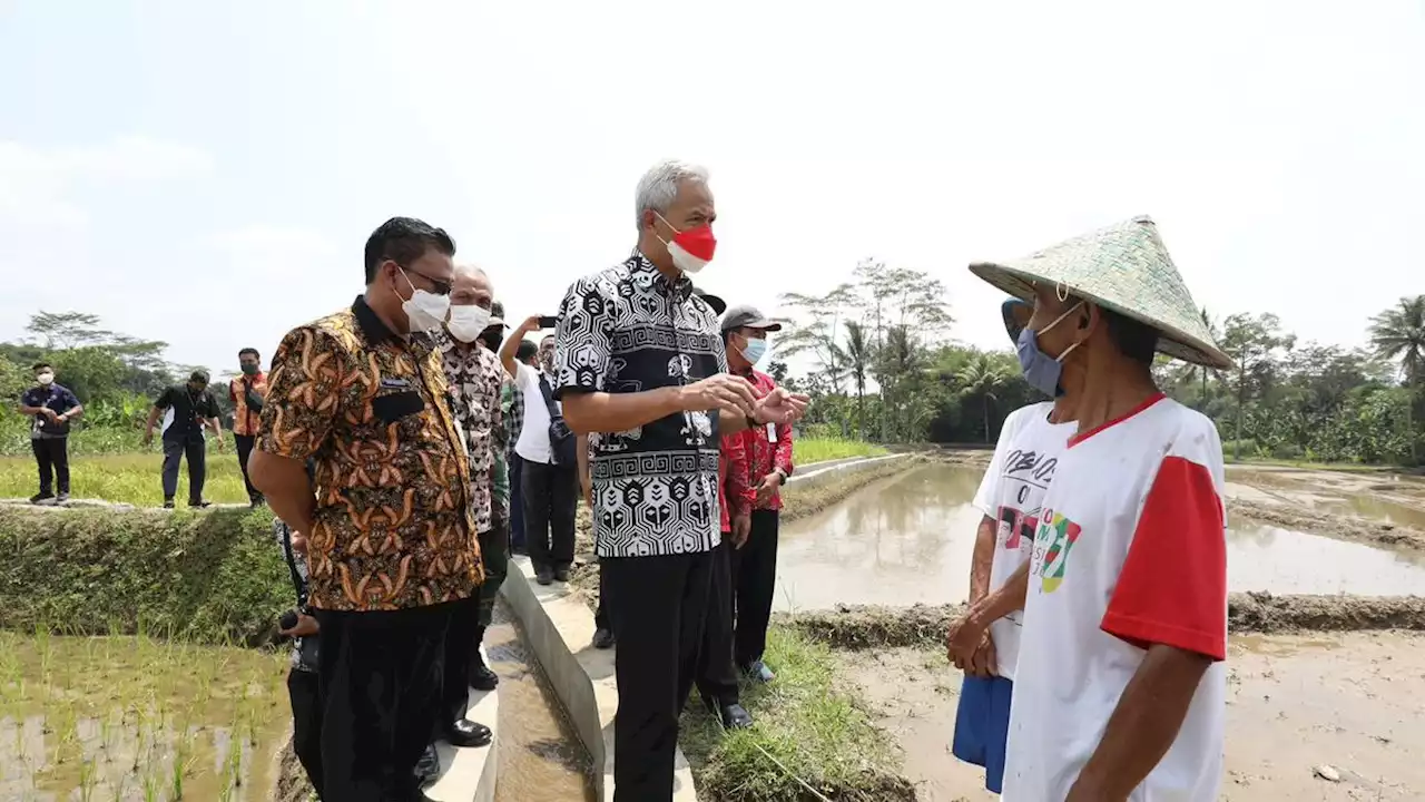 Bantuan Irigasi dari Ganjar Pranowo Terbukti Tingkatkan Kualitas dan Kuantitas Panen Petani di Kendal