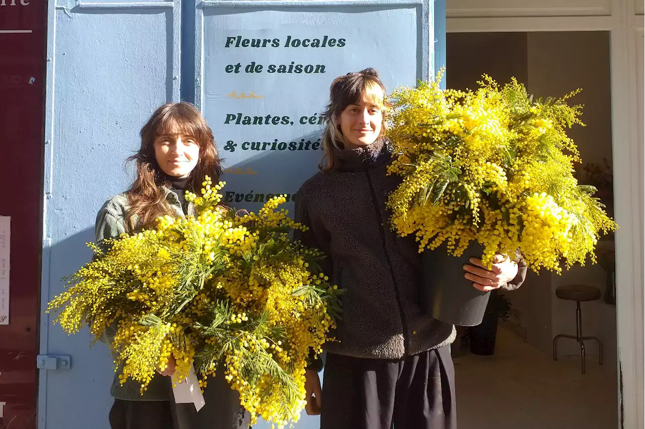 Ziggy, une boutique de fleurs engagée dans le quartier du cours Julien