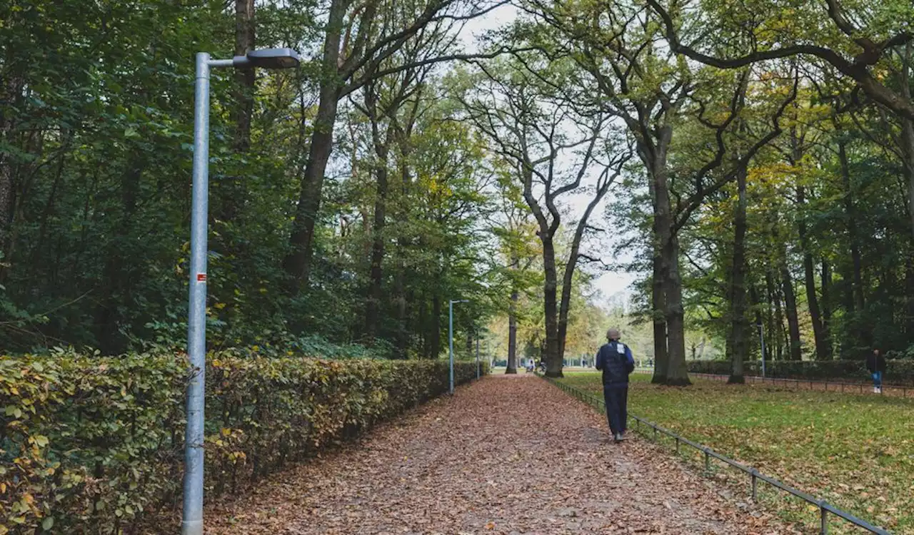 Beliebte Joggingstrecke: Warum die Lampen im Volkspark dunkel bleiben (M+)