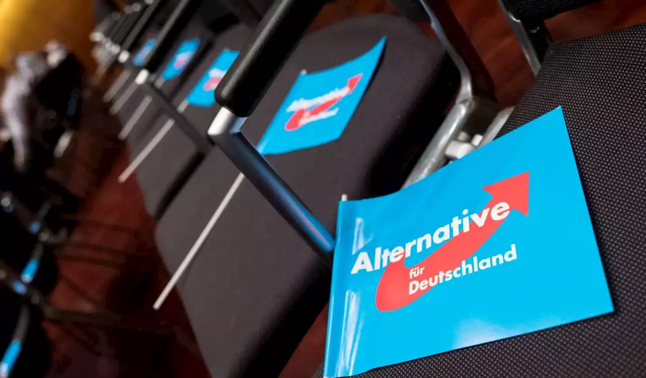 Irrer AfD-Zoff: Partei will gleich zweimal zur Wahl antreten