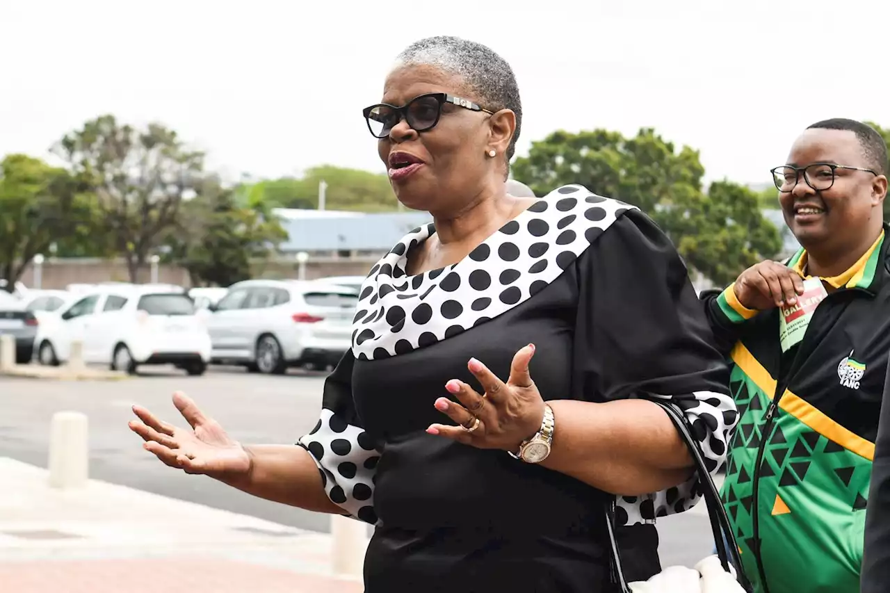 High Court hears details of corruption probe into Zandile Gumede, co-accused | News24