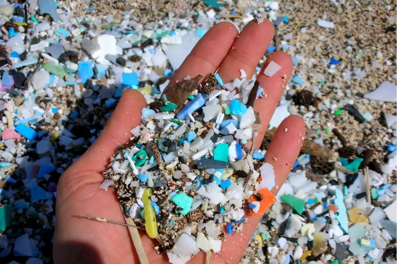 Scientists warn of 'alarming' rise in ocean microplastic pollution