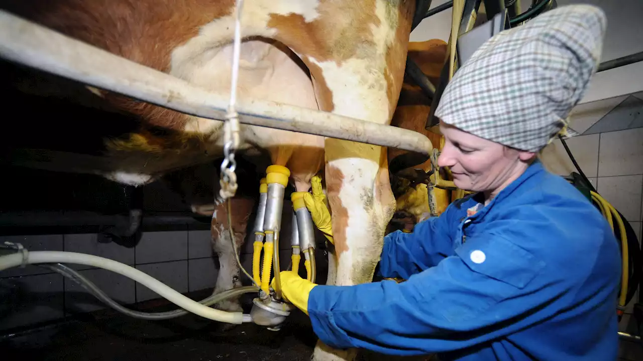 Jeder dritte Bauernhof in NÖ wird von einer Frau geführt