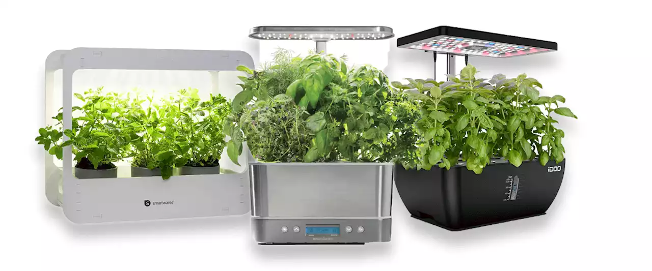 Top 6 Smart Indoor Garden für den perfekten Kräutergarten