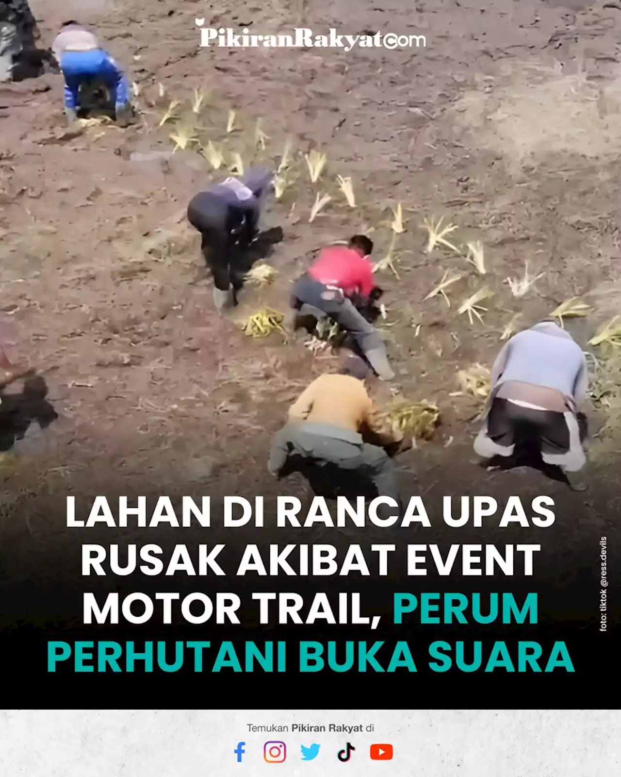 Lahan di Ranca Upas Rusak Akibat Event Motor Trail, Perum Perhutani Buka Suara