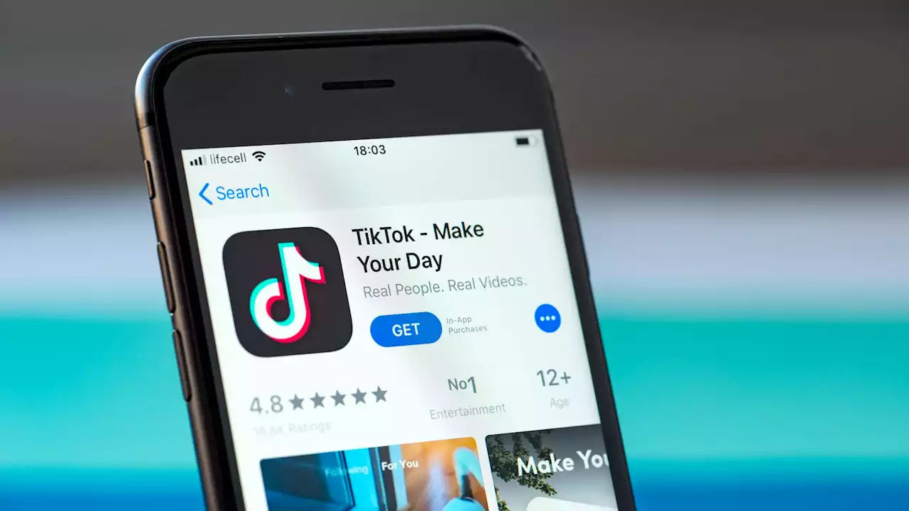 Why some US lawmakers want to ban TikTok