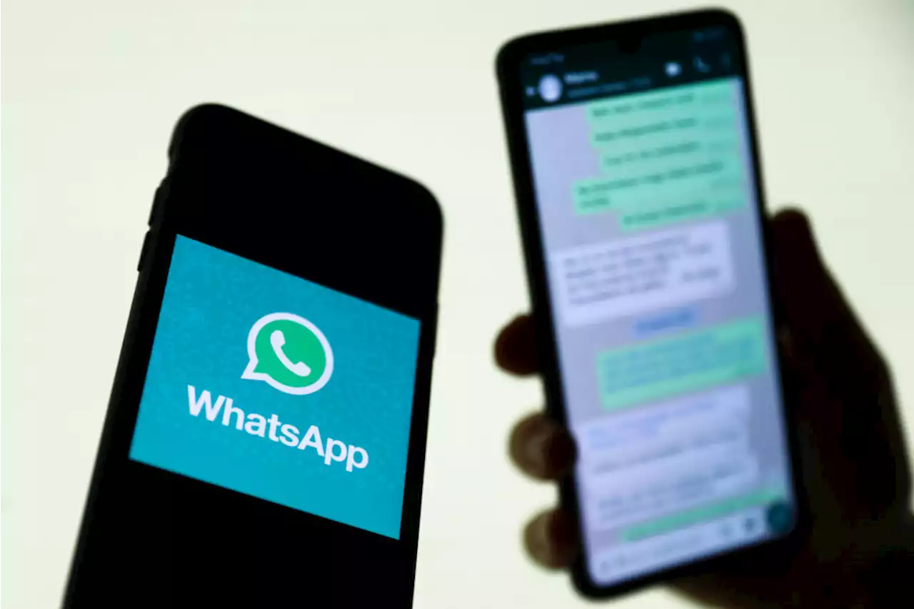 Aplicaciones que le permitirán chismosear mensajes eliminados en WhatsApp - Pulzo