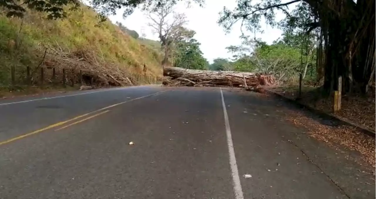 Paro minero cobró primera víctima en Antioquia; motociclista murió por bloqueo en la vía - Pulzo