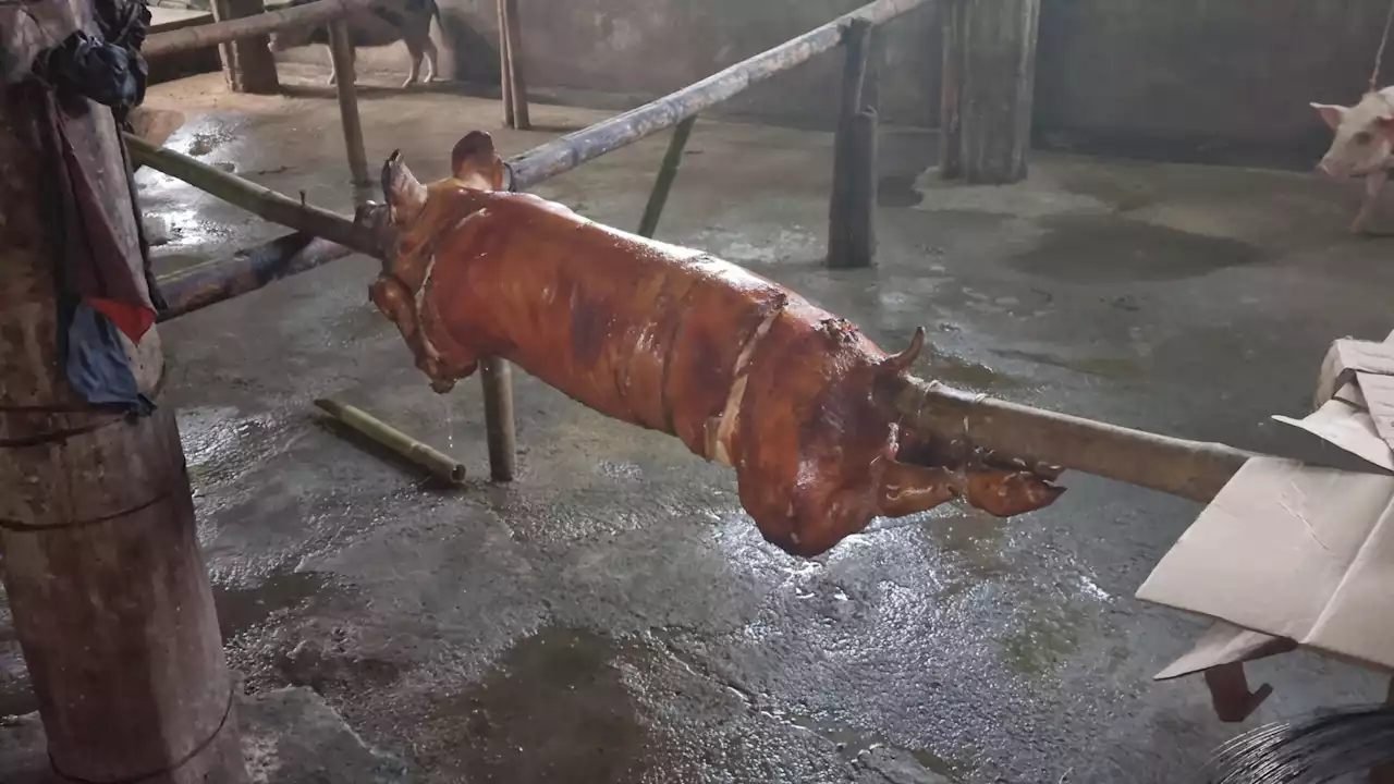 Aklan includes Cebu in ban on live swine, pork products to curtail AFF