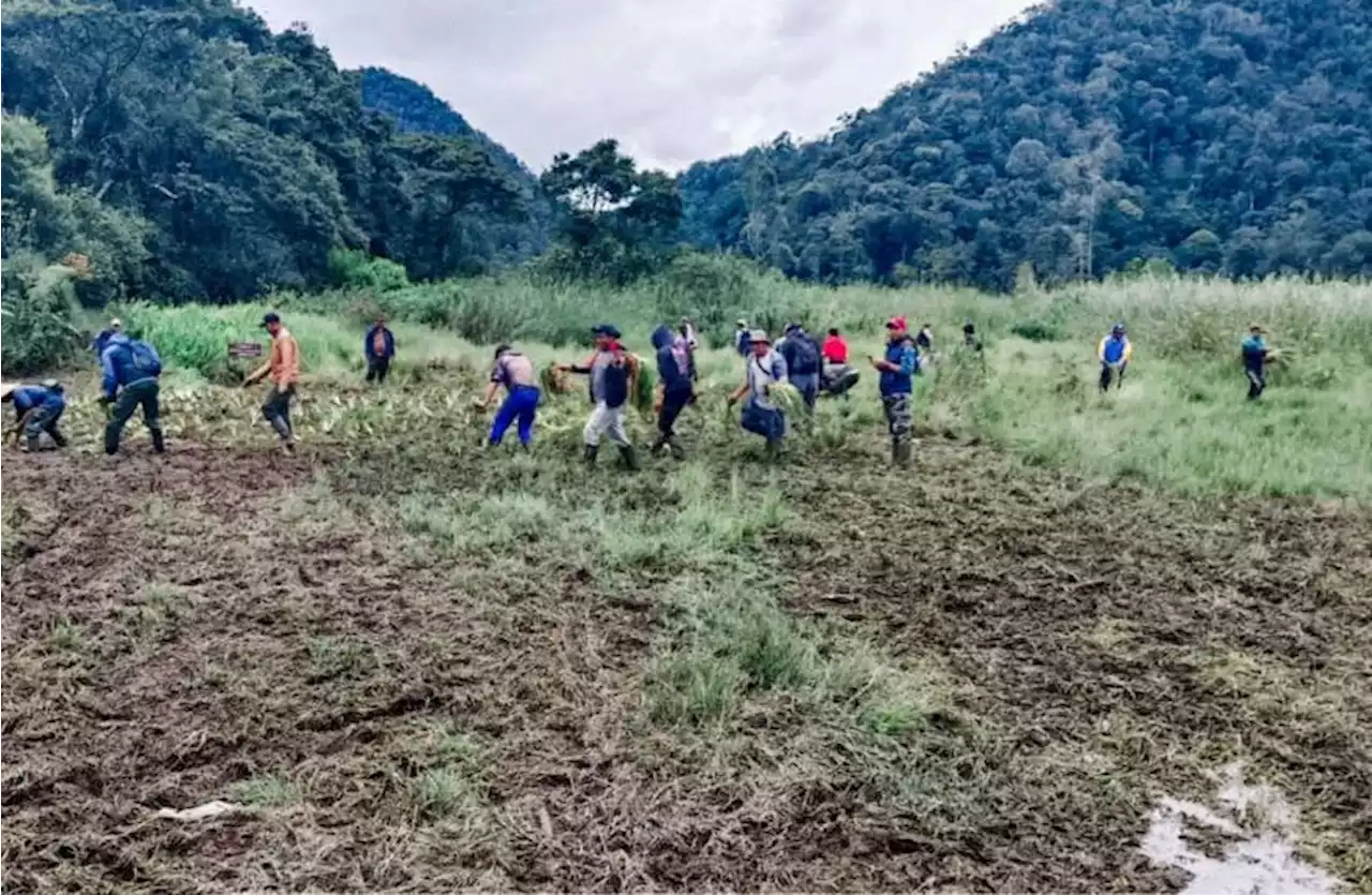 Seusai Hancurnya Edelweiss Ranca Upas: |em|Trail-Offroad |/em|Dilarang, Polisi Buka Penyelidikan |Republika Online