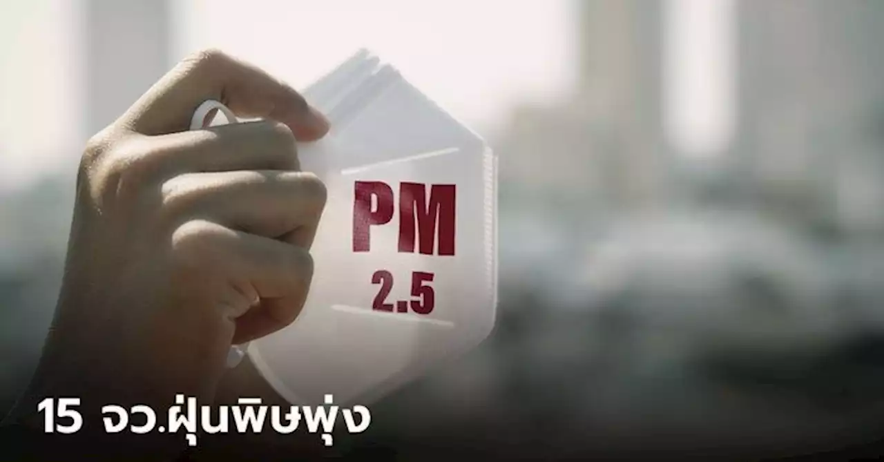 สธ.เตือน 15 จังหวัด PM2.5 พุ่งต่อเนื่อง ต้นปีป่วยแล้ว 1.32 ล้านคน