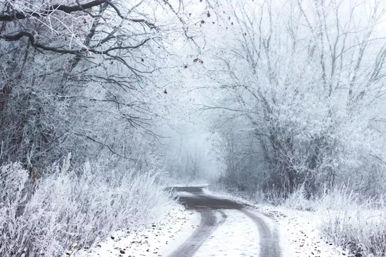 Met Office issues Amber warning as snow falls across Shropshire