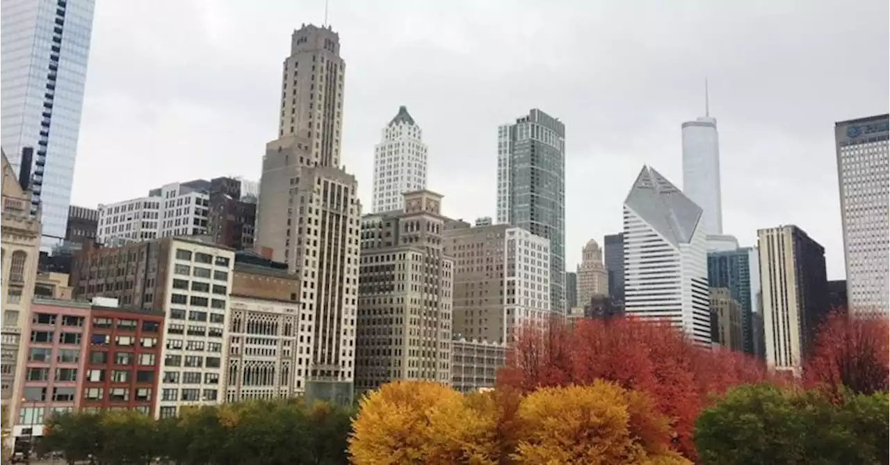 Lungo le sponde del Lago Michigan rapiti dal fascino e dalle architetture di Chicago