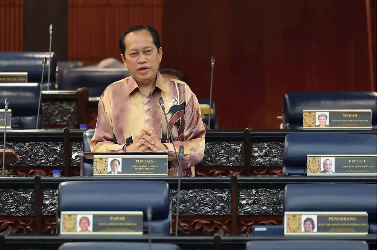 GST could add RM25bil to govt revenue, says Ahmad Maslan